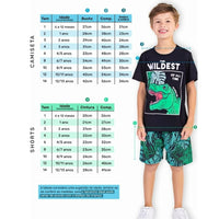 Conjunto 12 Peças Infantil com 6 Camisetas e 6 Shorts